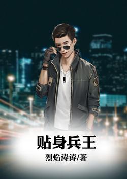 贴身兵王