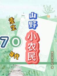 重生70年代山野小农民