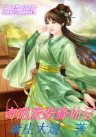 凌天战婿